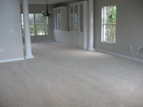 177 Big Black Dr, Kissimmee, FL 34759-5913