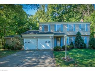 7786 Skylineview Dr, Concord Township, OH 44060-7432