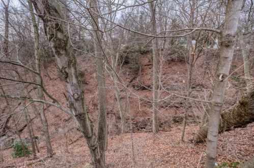 10 Oakwood Ter, Oakmont PA  15139-1016 exterior