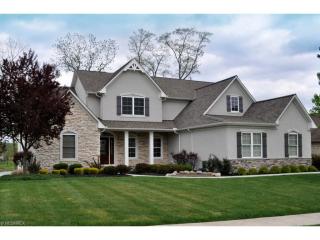 3304 Blue Heron Trce, Medina, OH 44256-6109
