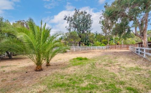 3413 Dove Holw Rd, Encinitas CA 92024-7247 exterior