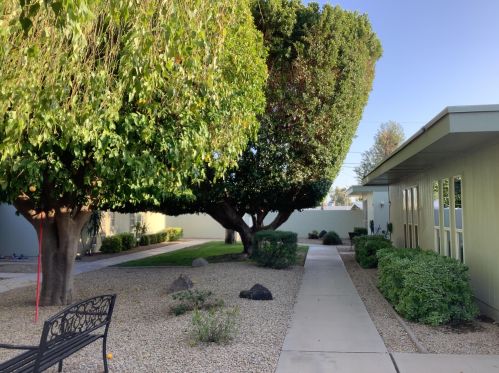 10937 Coggins Dr, Sun City AZ  exterior