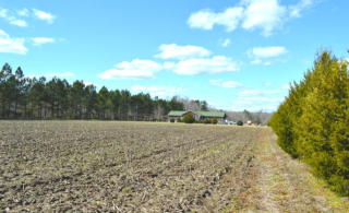 451 Better Built Way, Ruffin SC  29475-5257 exterior