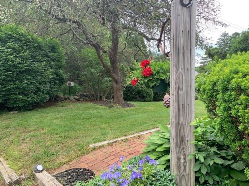 2 Ellis St, Medway MA  02053-1902 exterior