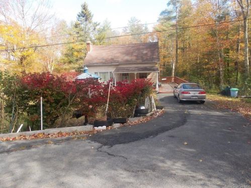 153 Rose Valley Rd, Monticello, NY 12701-3824