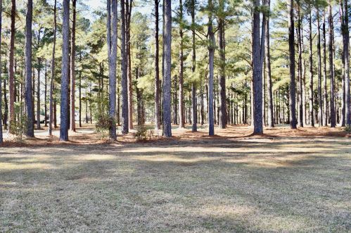 241 Plantation Dr, Foreston SC  29102-9504 exterior