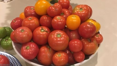 211 Seneca Pl, Westfield NJ  07090-4335 exterior