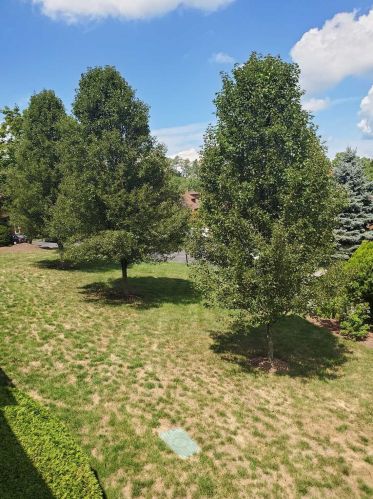 137 Swan Ct, Poughkeepsie NY  12603-6971 exterior