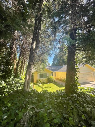 428 Neal St, Grass Valley, CA 95945-6412