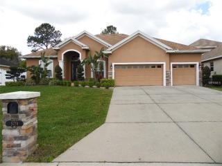 5729 Vintage View Ave, Lakeland, FL 33812-5070