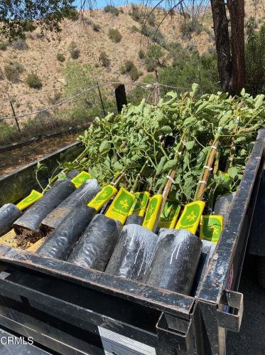 13001 Koenigstein Rd, Santa Paula CA  93060-9667 exterior