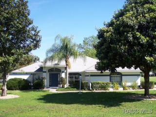 249 Glassboro Ct, Hernando, FL 34442-8233