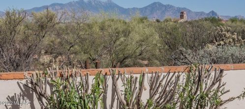 541 Paseo Del Mundo, Green Valley, AZ 85614-2322