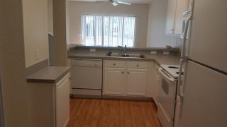 16353 Swan View Cir, Odessa, FL 33556-4937