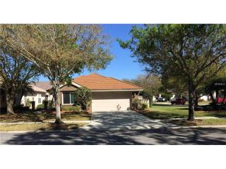 4815 Edge Park Dr, Oldsmar, FL 34677-4847