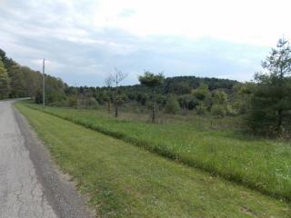 432 Camp 5 Rd, Willis, VA 24380-4145