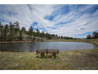 767 Valley View Dr, Twin Rock, CO 80816-9602