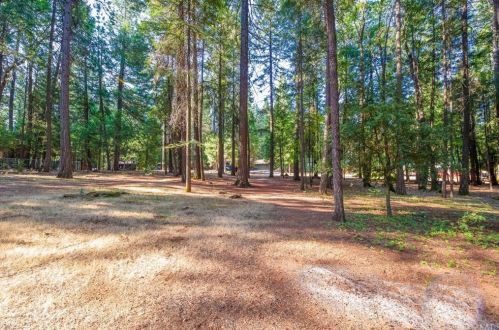 6476 Tikker Ln, Nimshew CA  95954-9322 exterior