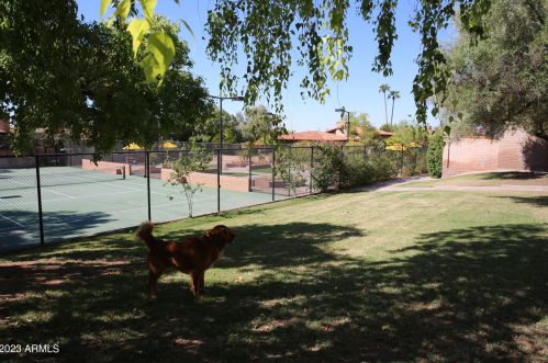 6839 17 Pl, Phoenix AZ 85086-5706 exterior