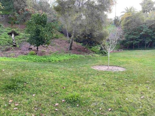 5203 Caminito Apartado, San Diego CA 92108-4202 exterior