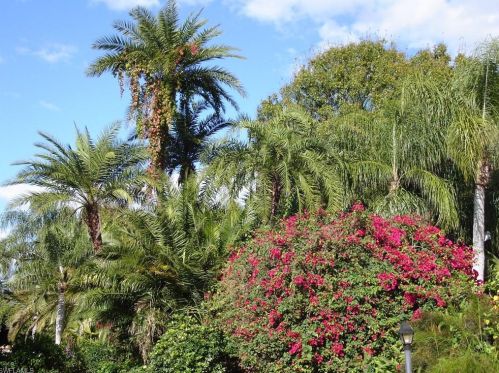 600 Neapolitan Way, Naples FL  34103-8568 exterior