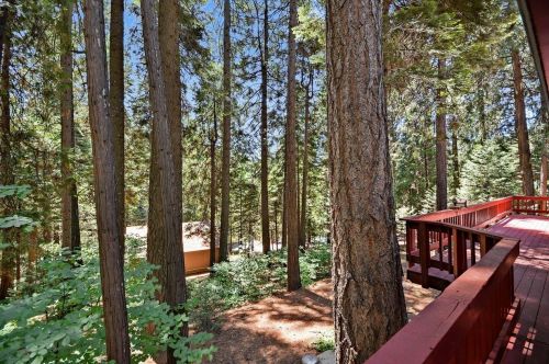 3626 Gold Ridge Trl, Pacific House CA  95726-9734 exterior