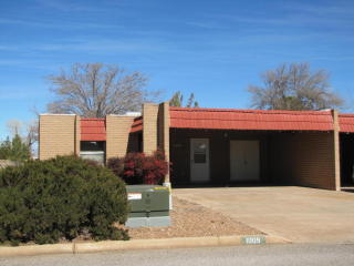 1009 Irene St, Sunizona, AZ 85625-4066