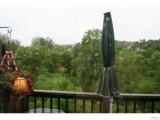 138 Aspetuck Vlg, Northville CT  06776-5622 exterior