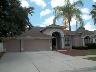 4333 Waterford Landing Dr, Lutz, FL 33558-9727