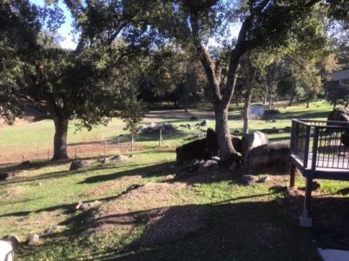 14804 Oak Ridge Rd, Lake Wildwood, CA 95946-8954