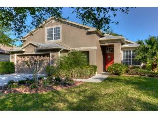 14849 Heronglen Dr, Lithia, FL 33547-3870