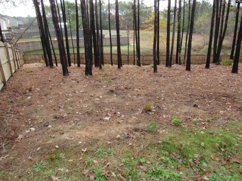 25 Broken Arrow Ct, Blythewood SC  29016-8126 exterior