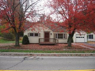 91 Summit St, Lakewood, NY 14750-1341