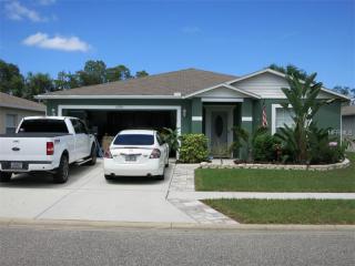 13739 Vanderbilt Rd, Odessa, FL 33556-1783