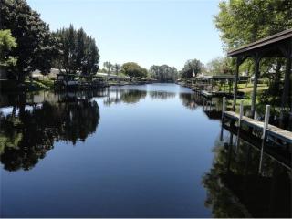 2323 Vindale Rd, Tavares, FL 32778-4540