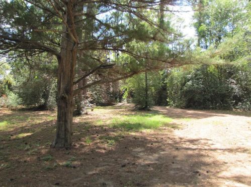 13006 Noack Rd, Magnolia, TX 77355-3815
