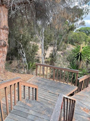 3684 Alexia Pl, San Diego CA 92116-2236 exterior