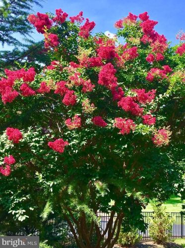 19376 Ml Dm Pl, Leesburg VA 20176-1637 exterior