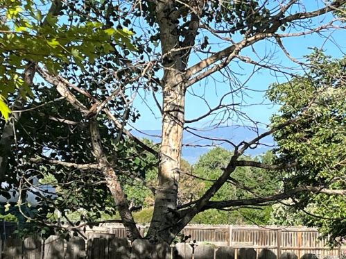 9649 Perry St, Westminster CO 80031-5137 exterior