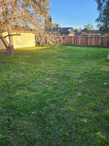 113 Kiwi St, Los Banos CA  93635-3127 exterior