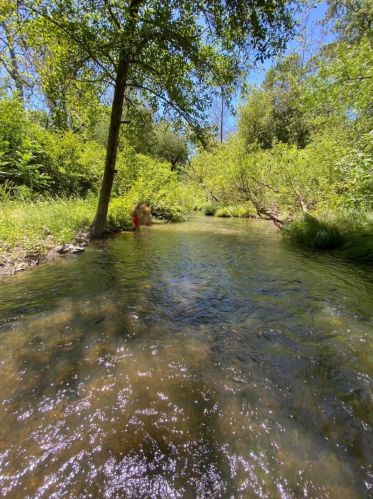 10555 Watsonville Rd, Gilroy CA  95020-9433 exterior