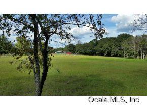 13910 47th Street Rd, Ocklawaha, FL 32179-2654