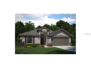 15413 Feather Star Pl, Ruskin, FL 33573-0195