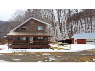 1455 Vt Route 30, Townshend, VT 05353-9714