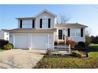 1048 Wadsworth Rd, Medina, OH 44256-3248