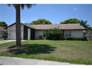 12036 Rotuma St, Orlando, FL 32837-9529