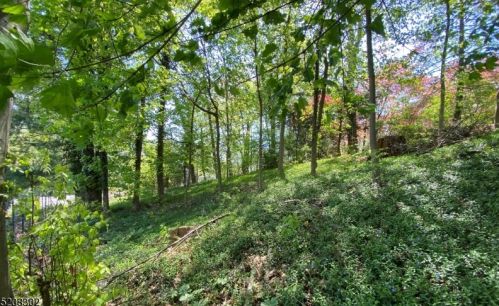 128 Fairmount Ave, Chatham Township NJ  07928-1836 exterior