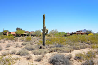 8703 Overlook Dr, Scottsdale, AZ 85255-6498