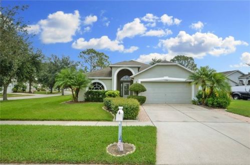 11302 Crane Lake Ct, Riverview, FL 33569-2931