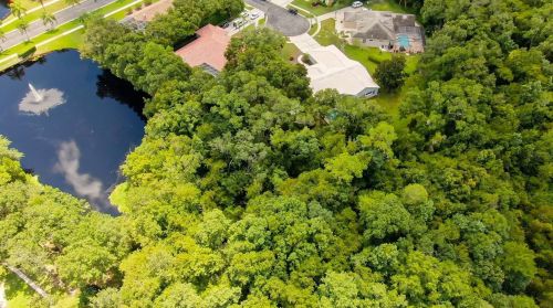 3874 Crescent Cove Pl, Tarpon Springs FL  34688-7708 exterior